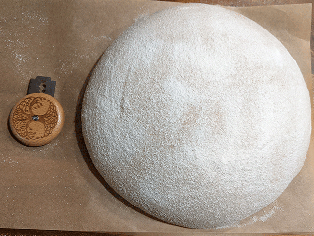 unscored 100% whole wheat sourdough bread dough