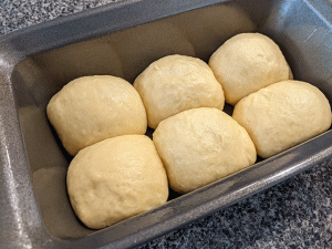 beginner brioche sandwich bread dough in pan