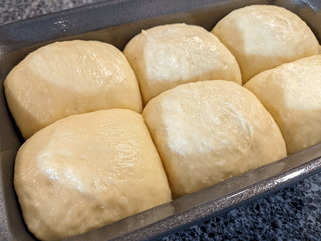 beginner brioche sandwich bread dough rising