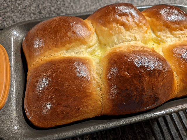 beginner brioche sandwich bread resting in pan
