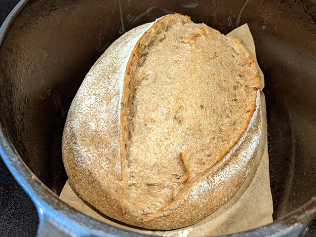 half baked sourdough wheat and rye bread