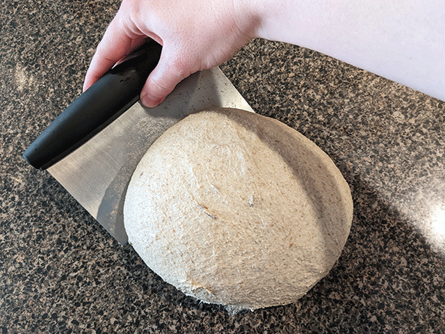 shaping a boule