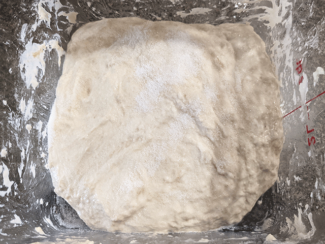 salt added to naturally leavened artisan bread