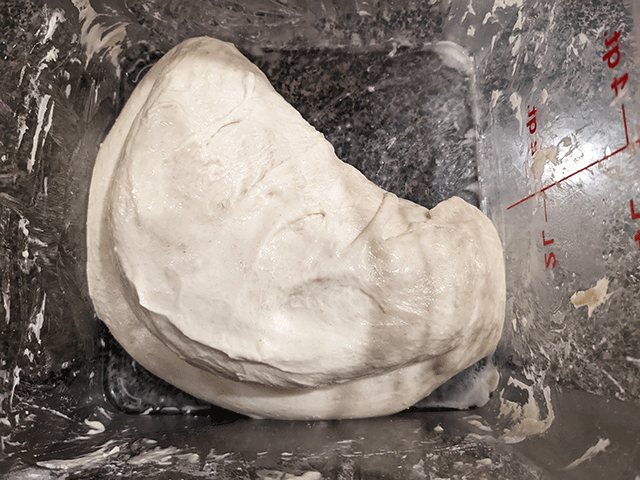 folding the dough for naturally leavened artisan bread