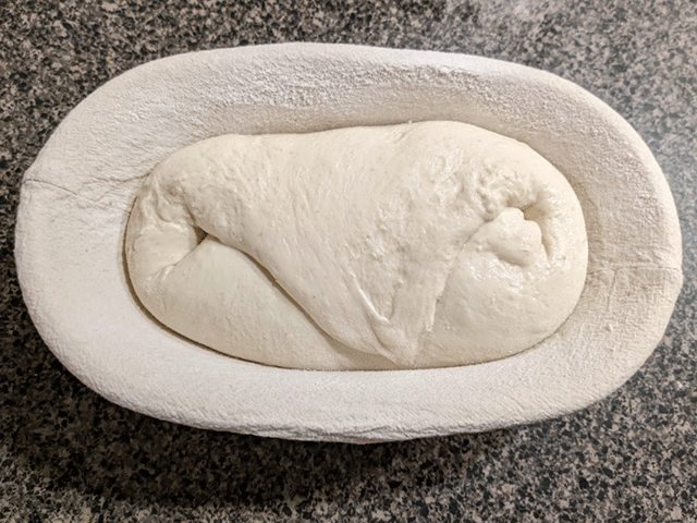 Shaping Naturally-Leavened Cold-Proof Artisan-Style White Sourdough Bread