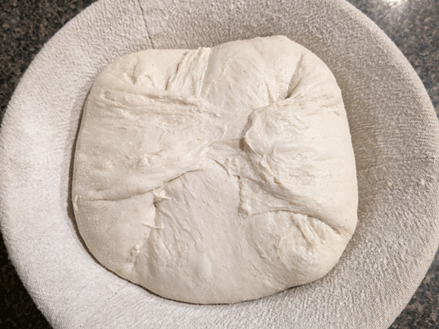 Naturally-Leavened Cold-Proof Artisan-Style White Sourdough Bread boule stitch