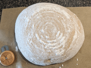 Same-Day Artisan-Style 75% Wheat Bread - unscored dough