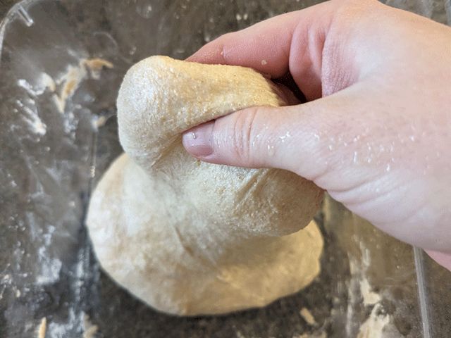 Same-Day Artisan-Style 75% Wheat Bread - stretch dough
