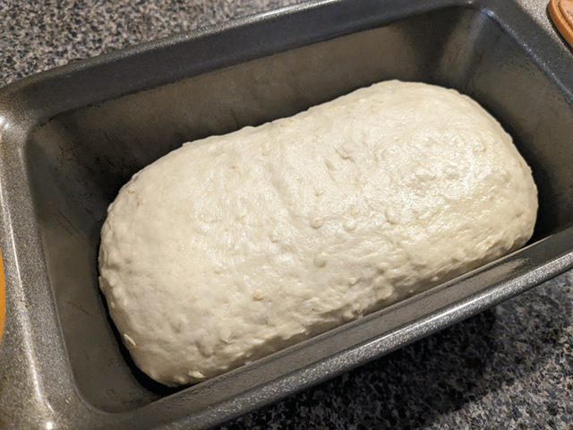 simple honey oat sandwich bread dough