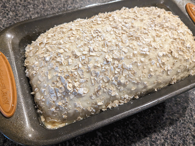 simple honey oat sandwich bread dough in pan