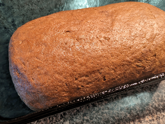 Dough for Beginner Dark Rye Sandwich Bread
